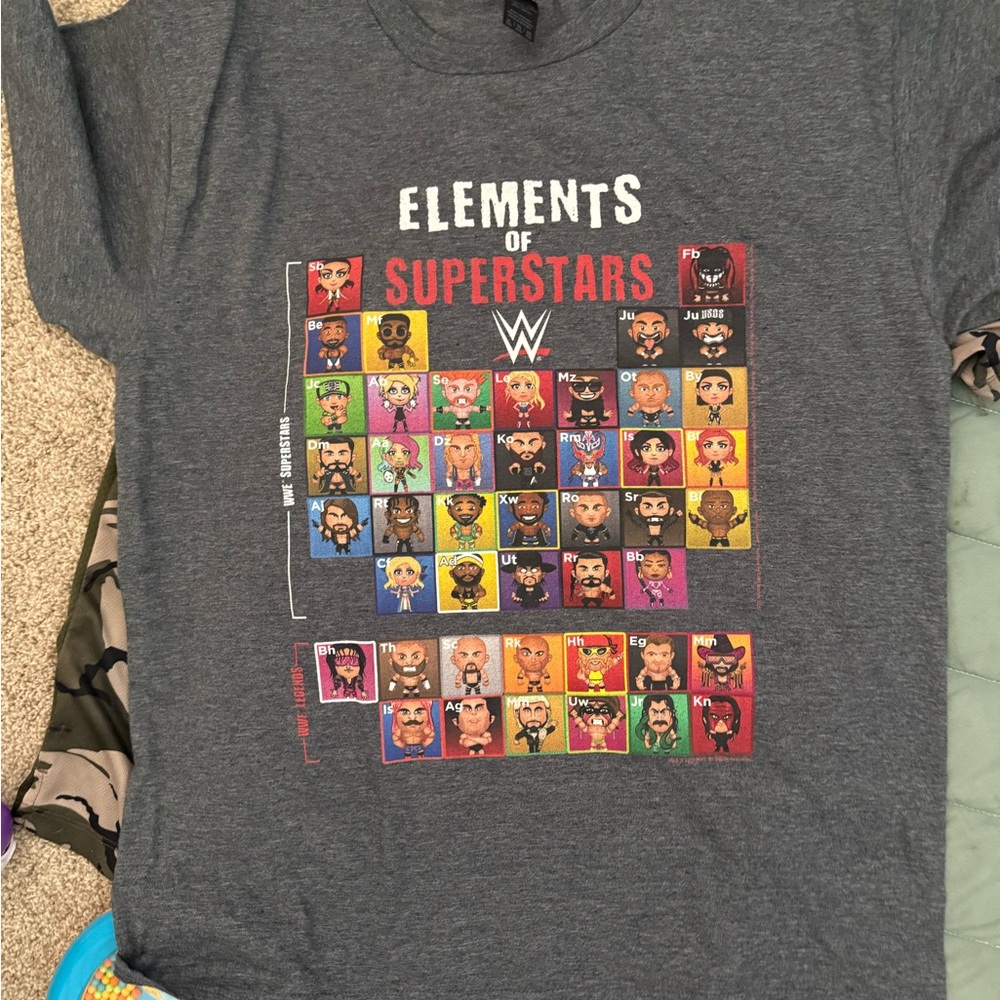 Gildan Kids Gray WWE Graphic T-Shirt